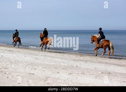 28.04.2018, Dierhagen, Mecklembourg-Poméranie occidentale, Allemagne - de jeunes femmes à cheval le long de la plage de la mer Baltique. 00S180428D276CAROEX.JPG [M Banque D'Images