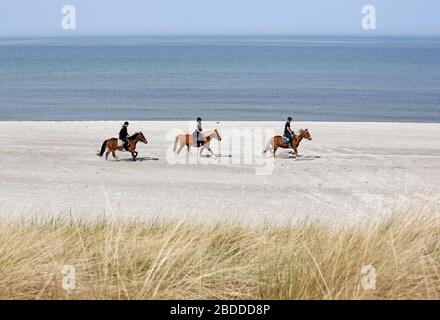 28.04.2018, Dierhagen, Mecklembourg-Poméranie occidentale, Allemagne - les jeunes femmes sont à cheval sur la plage de la mer baltique. 00S180428D313CAROEX. Banque D'Images