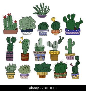 Un ensemble de cactus dans des pots de fleurs peints. Graphiques vectoriels pour la conception de magazines et d'illustrations botaniques Illustration de Vecteur