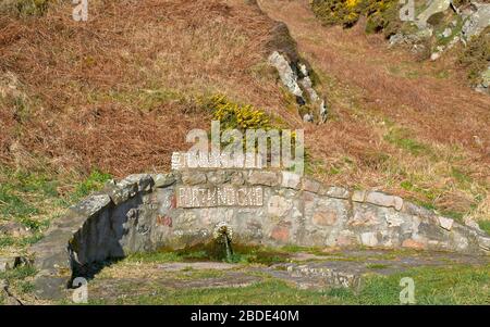 JENNY WELL PORTKNOCKIE MORAY ECOSSE ET LES COLLINES COUVERTES DE FLEURS JAUNES DE GORSE AU PRINTEMPS ULEX EUROPAEUS Banque D'Images
