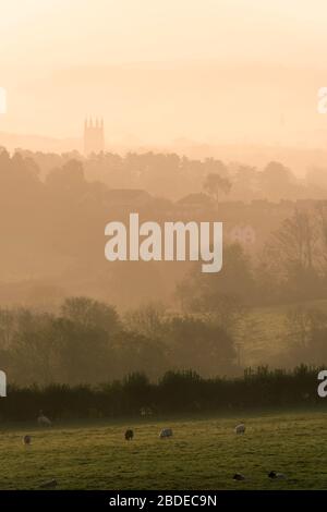 Brume matinale au lever du soleil au-dessus de la ville de Wells vue de la réserve naturelle nationale d'Ebbor gorge dans les collines Mendip, Somerset, Angleterre. Banque D'Images