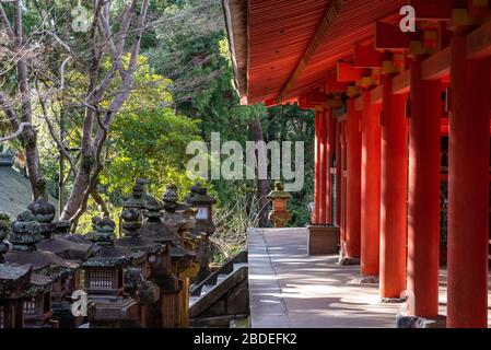 Grand sanctuaire de Kasuga, couloirs dans le complexe du sanctuaire et lanternes en pierre, préfecture de Nara, Japon Banque D'Images