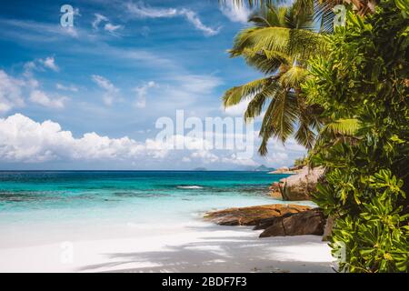 Une plage de sable exotique exotique sur l'île de Mahe, les îles des Seychelles. Célèbre destination de vacances en été Banque D'Images