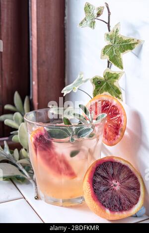 Gin et boisson de l'orange du sang Banque D'Images