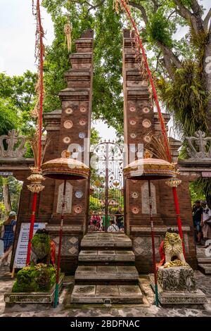 Vue verticale de l'entrée du palais d'eau de Tirta Gangga à Bali, Indonésie. Banque D'Images