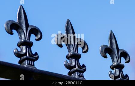 Fleur de Lys Railings, Royaume-Uni Banque D'Images