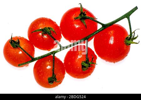 Tomates de vigne sur un fond blanc clair. Banque D'Images