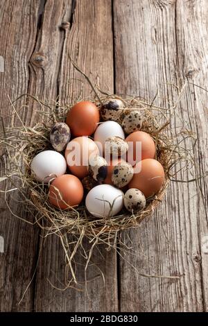 Œufs de poule et de caille dans un panier en osier sur un fond rustique Banque D'Images