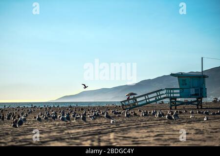 Life Savers hutte de Zuma Beach le 07/09/2019 à Malibu. .image de Julie Edwards Banque D'Images