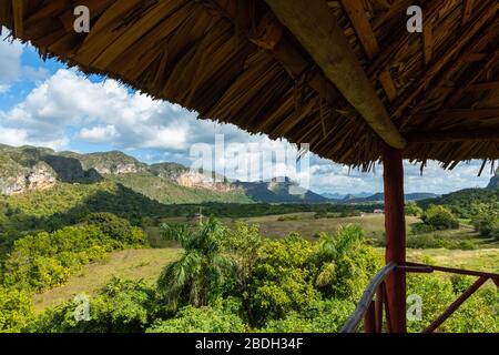 La vallée de Vinales (Valle de Vinales), destination touristique populaire. Plantation de tabac. Pinar del Rio, Cuba. Banque D'Images