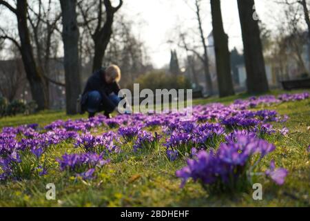 La jeune femme prend des photos de fleurs dans le parc Banque D'Images