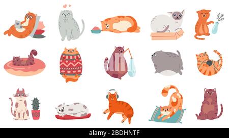 Des chats mignons. Chat drôle dans boîte, adorable chaton de sommeil et chat gras dans le jeu d'illustrations vectorielles de chandail. Style de vie domestique des animaux. Comique sur laquelle vous travaillez Illustration de Vecteur
