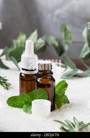 bouteilles en verre avec huiles essentielles naturelles sur une serviette blanche avec feuilles de menthe, de romarin et d'eucalyptus Banque D'Images