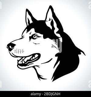 Portrait illustration vectorielle de la race de chien Husky sibérienne Illustration de Vecteur