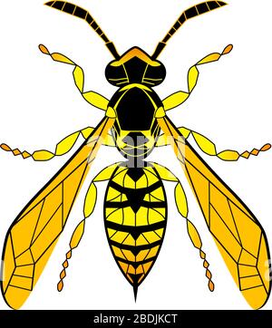 Dessin animé de guêpe. Abeille jaune isolée sur fond blanc. Gribouille dessinée à la main, illustration vectorielle graphique. Style Zentangle. Vitrail aux insectes. Illustration de Vecteur