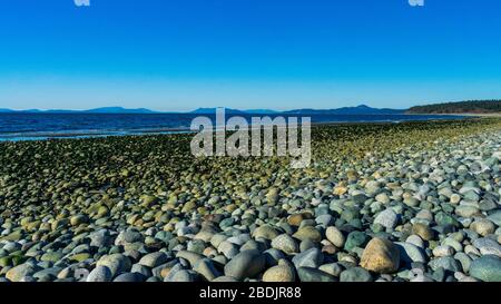 Marée basse au printemps à Whidbey Island Beach Banque D'Images