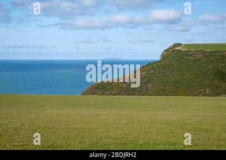 Les falaises escarpées près de Morwenstow sur la côte atlantique des Cornouailles offrent des vues magnifiques sur Lundy, le long du sentier de la côte sud-ouest Banque D'Images