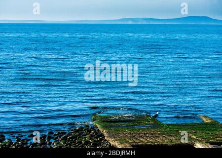 Journée de printemps ensoleillée sur une plage de l'île de Whidbey Banque D'Images