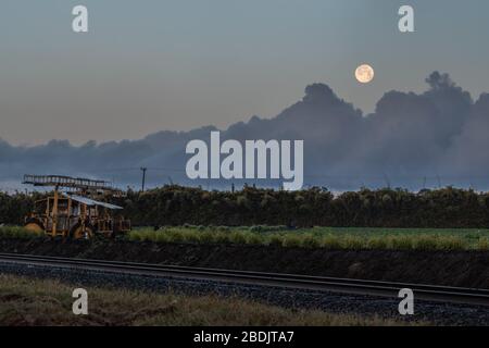 Rose Full Moon brillant dans le ciel sur les champs agricoles de Ventura en début de matinée. Banque D'Images