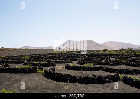 La Geria, zone viticole de Lanzarote - île des Canaries - Espagne Banque D'Images