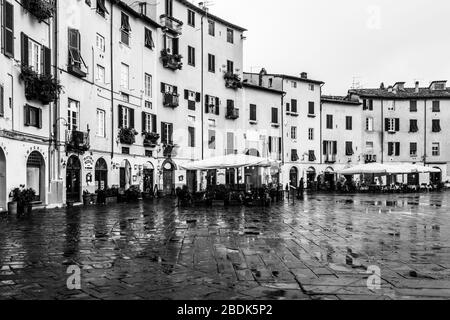 Image en noir et blanc de la Piazza dell'Anfiteatro à Lucca, une place elliptique construite sur les ruines d'un amphithéâtre romain Banque D'Images