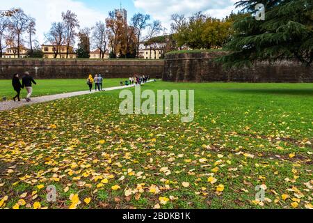 Vue sur les célèbres murs de la ville de Lucques, intacts de l'époque de la Renaissance. Lucca, Toscane, Italie, novembre 2019 Banque D'Images