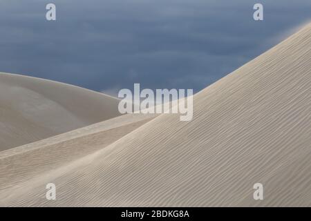 Dunes de sable près de Cervantes, Australie occidentale Banque D'Images