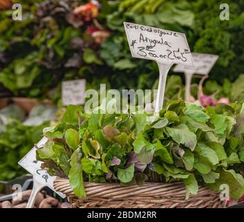 Arugula et d'autres légumes verts à vendre avec un panneau sur un marché Banque D'Images