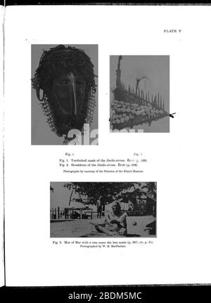 Haddon-Rapports de l'expédition anthropologique de Cambridge au détroit de Torres-Vol 1 Ethnographie générale-p453. Banque D'Images