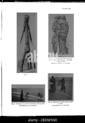 Haddon-Rapports de l'expédition anthropologique de Cambridge au détroit de Torres-Vol 1 Ethnographie générale-p459. Banque D'Images