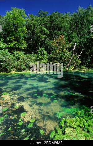 Big Spring, Ozark National Scenic Riverways, Missouri Banque D'Images