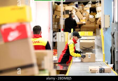 08 avril 2020, Mecklembourg-Poméranie occidentale, Groß Schwaß: À la base de livraison Deutsche Post, les colis sont triés et distribués aux véhicules. En raison de la crise de Corona, de plus en plus de citoyens utilisent des options de commande en ligne, ce qui fait que les services de livraison sont occupés comme d'habitude seulement dans la période d'avant Noël. Alors que la base de livraison traite habituellement environ 5 000 colis par jour, le chiffre actuel est de 7 500. Photo: Bernd Wüstneck/dpa-Zentralbild/dpa Banque D'Images