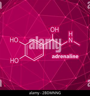 Adrénaline hormone formule. Illustration de Vecteur