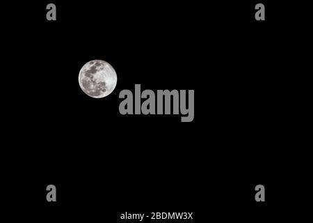 Super Rose Moon 2020: La lune super rose brille dans le ciel de nuit et les gens du soir pour voir la super lune sur le verrouillage Banque D'Images