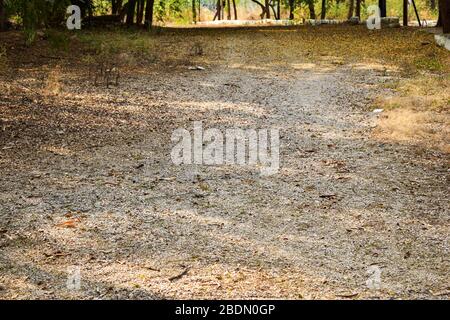 Arrière-plan chemin de route sale, chute de feuilles sur l'image de photographie de stock de route sale Banque D'Images