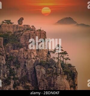 Singe en pierre donnant sur la mer du nuage, avec un coucher de soleil coloré en arrière-plan. C'est un point de vue célèbre sur Mt.Huangshan, Chine. Banque D'Images