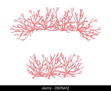 Algue de couleur rose plantes marines de mer éléments de corail de mer illustration vectorielle plate sur fond blanc Illustration de Vecteur