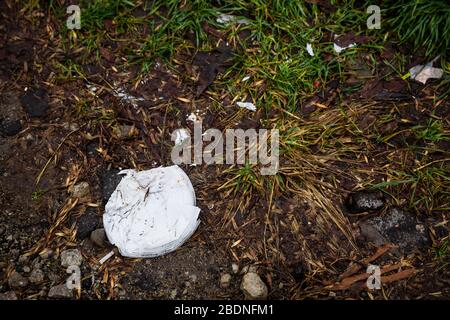 Les plats en plastique jetables sont restés longtemps dans les bois. Des chaussons en plastique blanc, des fourches sont jetés au sol. Ordures dans la forêt. Le problème de la pollution des déchets plastiques. Banque D'Images