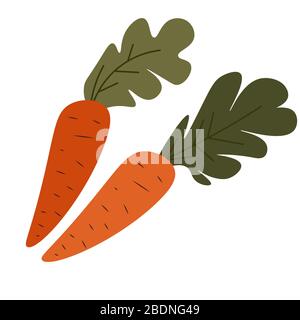 Carottes avec feuillage, légumes mûrs avec feuilles vectorielles Illustration de Vecteur