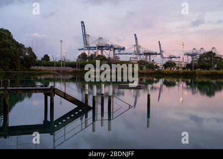 Auckland, Nouvelle-Zélande. Vue sur les ports d'Auckland depuis la baie des juges Banque D'Images