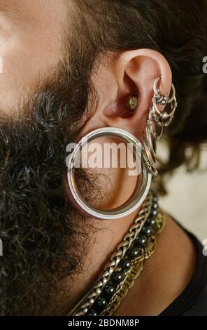 Piercings et boucles d'oreilles à l'intérieur d'une prise macro d'oreille masculine Banque D'Images