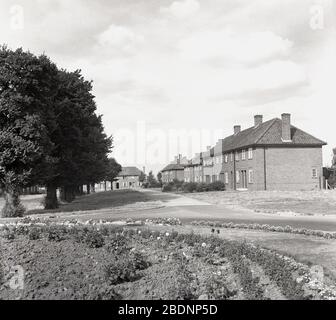 Années 1950, vue historique et extérieure de logements ruraux nouvellement construits après la guerre, composés de chalets semi-détachés construits en briques de deux étages construits pour les travailleurs locaux, Bedford, Angleterre, Royaume-Uni. Bien qu'il s'agisse d'un design de base d'un point de vue architectural, il y avait de l'espace pour les arbres et des sentiers larges ouverts pour marcher et donc un endroit sain pour vivre. Banque D'Images