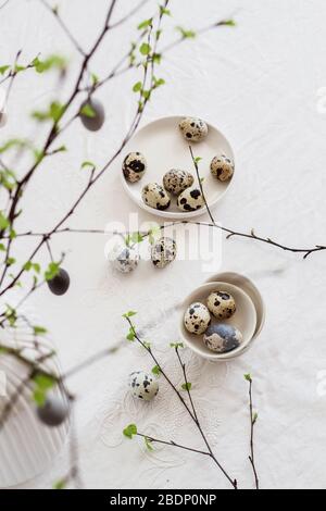 Table de Pâques décorée avec des œufs de caille et des branches de bouleau. Décoration moderne minimaliste de Pâques. Photo de dessus Banque D'Images