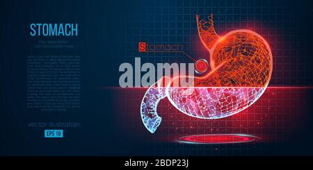 Silhouette abstraite de l'organe polygonal de l'estomac. Analyse, recherche et diagnostic de l'estomac humain. Illustration de Vecteur