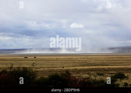 Tempête de vent et de sable dans la Patagonie Steppe près de Punta Arenas ville, Patagonia, Chili, Amérique du Sud Banque D'Images