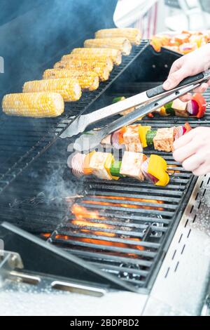 Griller le tofu végétarien aux légumes brochettes marinées dans une sauce épicée. Banque D'Images