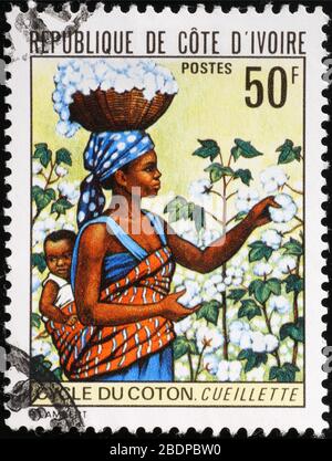 Femme africaine qui récolte du coton sur le timbre-poste Banque D'Images