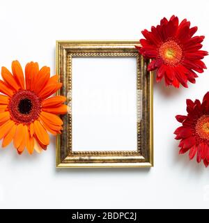 Cadre photo vide avec fleurs gerbera sur fond blanc. Composition florale, plat, vue de dessus, espace de copie Banque D'Images