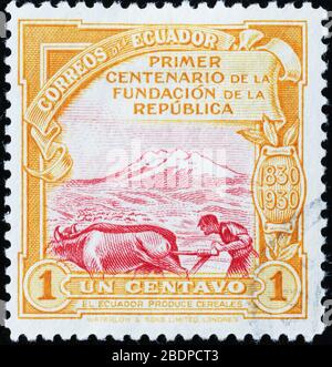 Agriculteur sur l'ancien timbre-poste de l'Équateur Banque D'Images