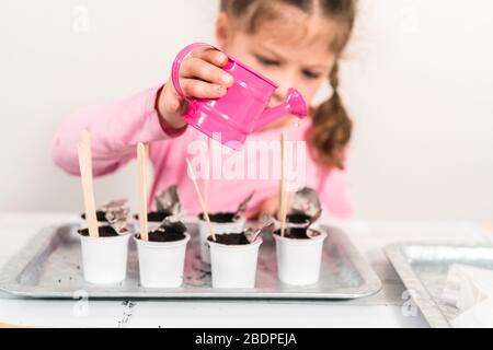 Petite fille plantant des graines dans des dosettes de café pour démarrer un jardin de légumes intérieur. Banque D'Images